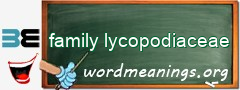 WordMeaning blackboard for family lycopodiaceae
